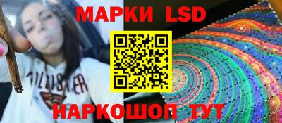 spice Пенза