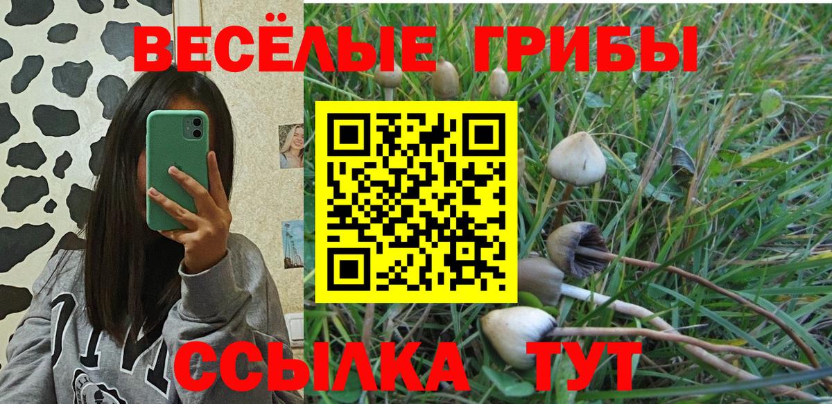 Пенза  Псилоцибиновые грибы ЛСД  Вход с VPN 