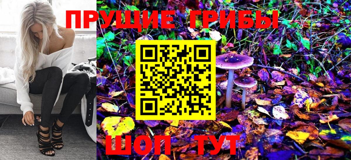 Псилоцибиновые грибы Cubensis Пенза
