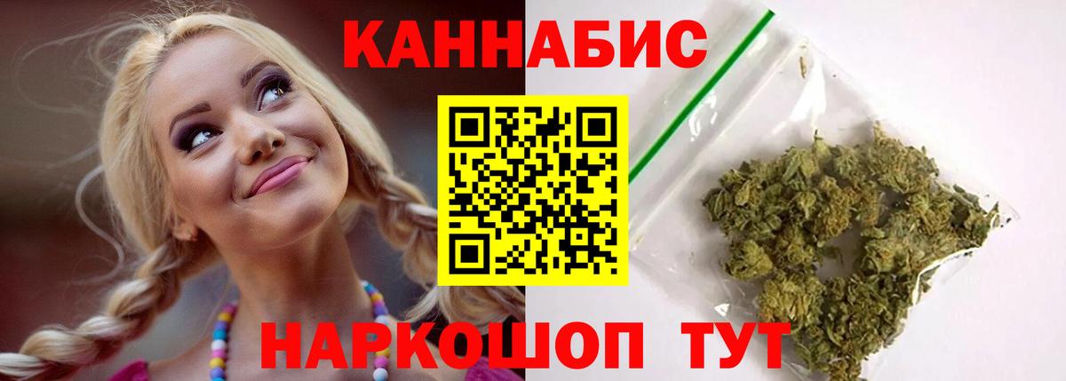 Бошки Шишки план Пенза