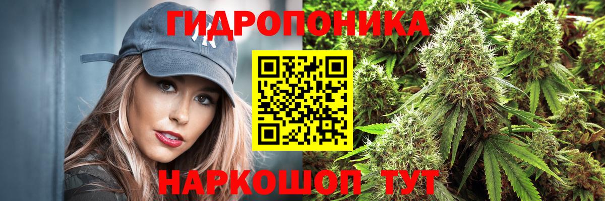 Шишки марихуана MAZAR  Вход с VPN  Марихуана планчик  Шишки марихуана ГИДРОПОН  Пенза 